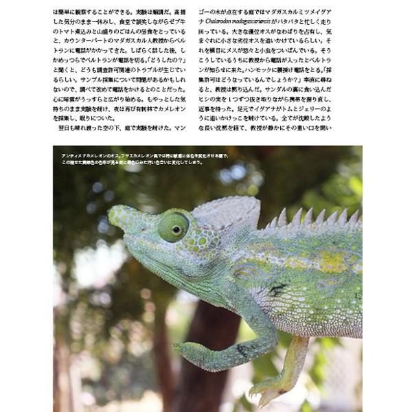 有尾目を意味する「Caudata（カウダータ）」第２号発売。両生類・爬虫類専門雑誌