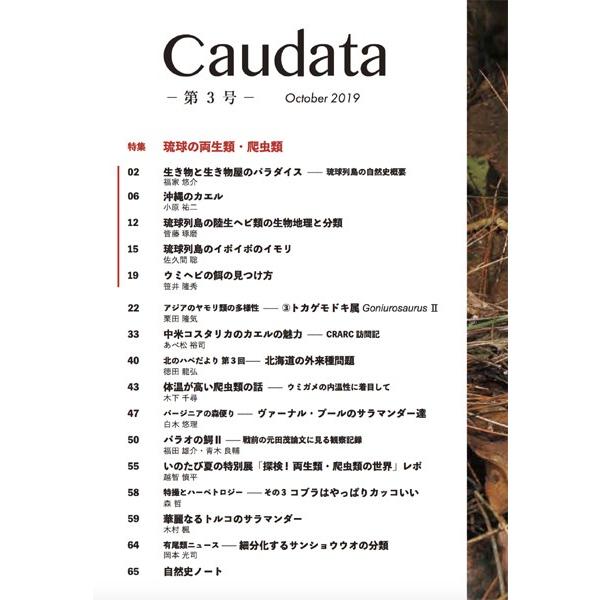 有尾目を意味する「Caudata（カウダータ）」第3号発売。両生類・爬虫類専門雑誌。◆特集：琉球の両生類・爬虫類◆