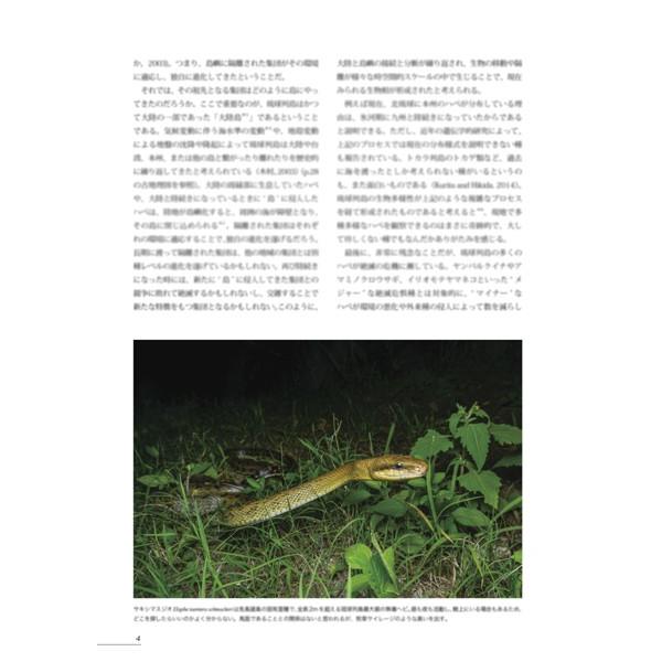 有尾目を意味する「Caudata（カウダータ）」第3号発売。両生類・爬虫類専門雑誌。◆特集：琉球の両生類・爬虫類◆
