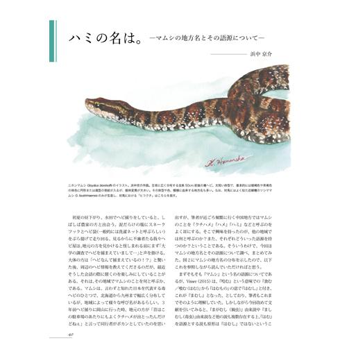 有尾目を意味する「Caudata（カウダータ）」、2020年10月に第4号を新発売！【最終入荷分】両生類・爬虫類専門雑誌◆特集：日本のイモリ◆