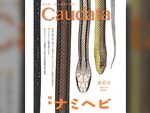 有尾目を意味する「Caudata（カウダータ）」、2023年3月に第6号を新発売！両生類・爬虫類専門雑誌◆特集：ナミヘビ◆