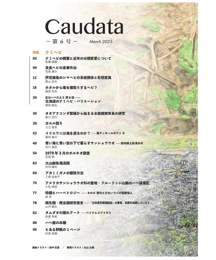 有尾目を意味する「Caudata（カウダータ）」、2023年3月に第6号を新発売！両生類・爬虫類専門雑誌◆特集：ナミヘビ◆